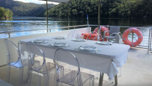 2014 SOLAR ELECTRIC CATAMARAN - AMSA SURVEY - 20 PASSENGERS + 2 CREW